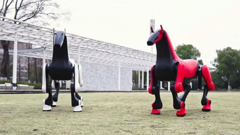 Čínští inženýři vyvinuli „robokoně“, schopnou přepravovat jezdce až do 50 kg po terénu s překážkami