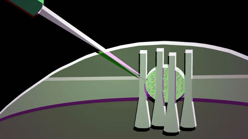 Vědci vytvořili z kapky tekutého krystalu flexibilní optický tranzistor pro budoucí fotonické čipy