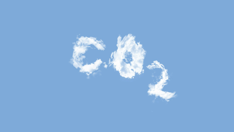 Stovky tisíc se proměnily v desítky milionů: umělá inteligence urychlila růst poptávky po uhlíkových kreditech u technologických gigantů