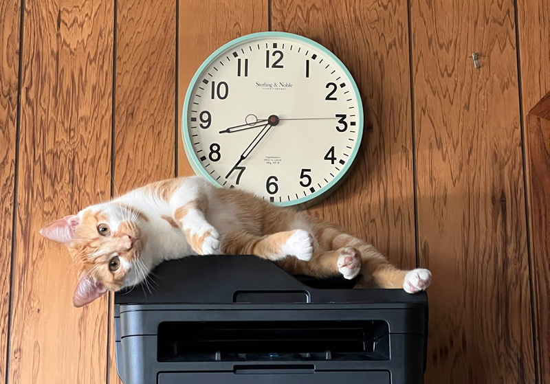 Windows 11 přestane podporovat staré ovladače tiskáren V3 a V4 po následující aktualizaci