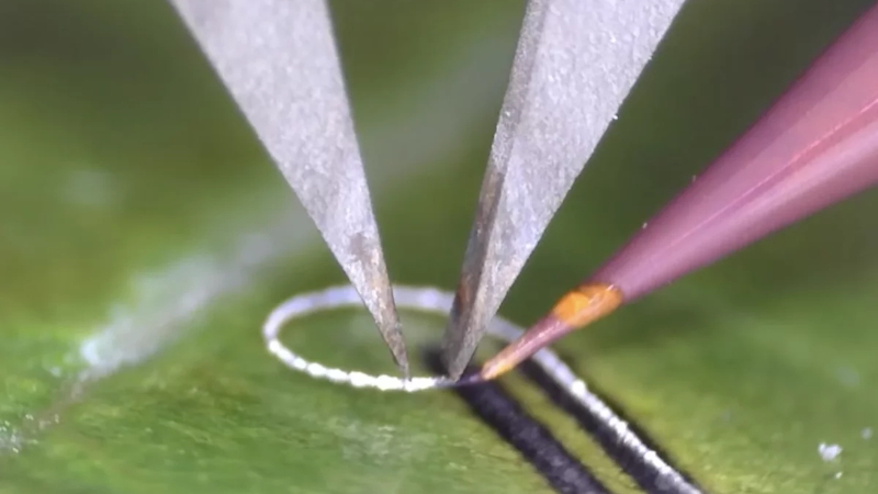 Inženýři vytvořili přístroj, který umožňuje nanášet elektronické součástky na živé tkáně a lékařské implantáty bez poškození