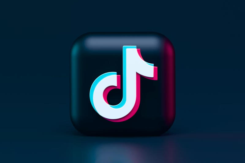 TikTok zpochybňuje status „bránice“ v nejvyšším evropském soudu.
