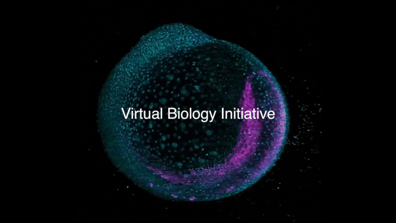 Biohub Marka Zuckerberga začal urychlovat terapii všech onemocnění pomocí AI modelů buněk