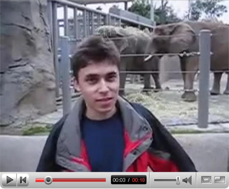 První videa z YouTube byla přidána do sbírky muzea