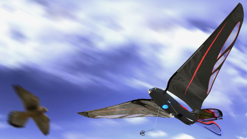 Inženýr vyrobil 10 gramovou robotickou ptáka, která se otáčí rychlostí až 31 km/h a je ovládána přes smartphone